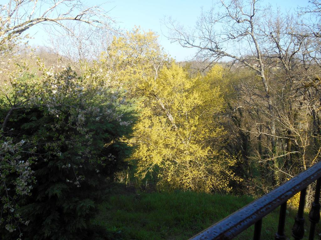 Le Colombier Bed and Breakfast Villeneuve-sur-Lot Exteriör bild