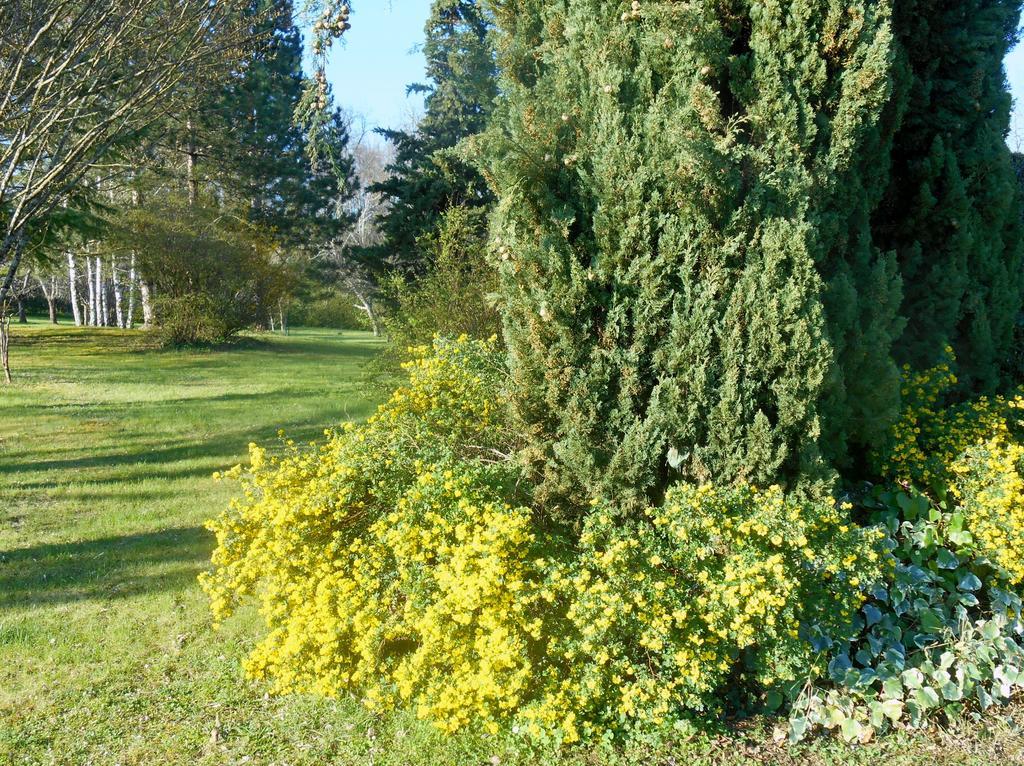 Le Colombier Bed and Breakfast Villeneuve-sur-Lot Exteriör bild