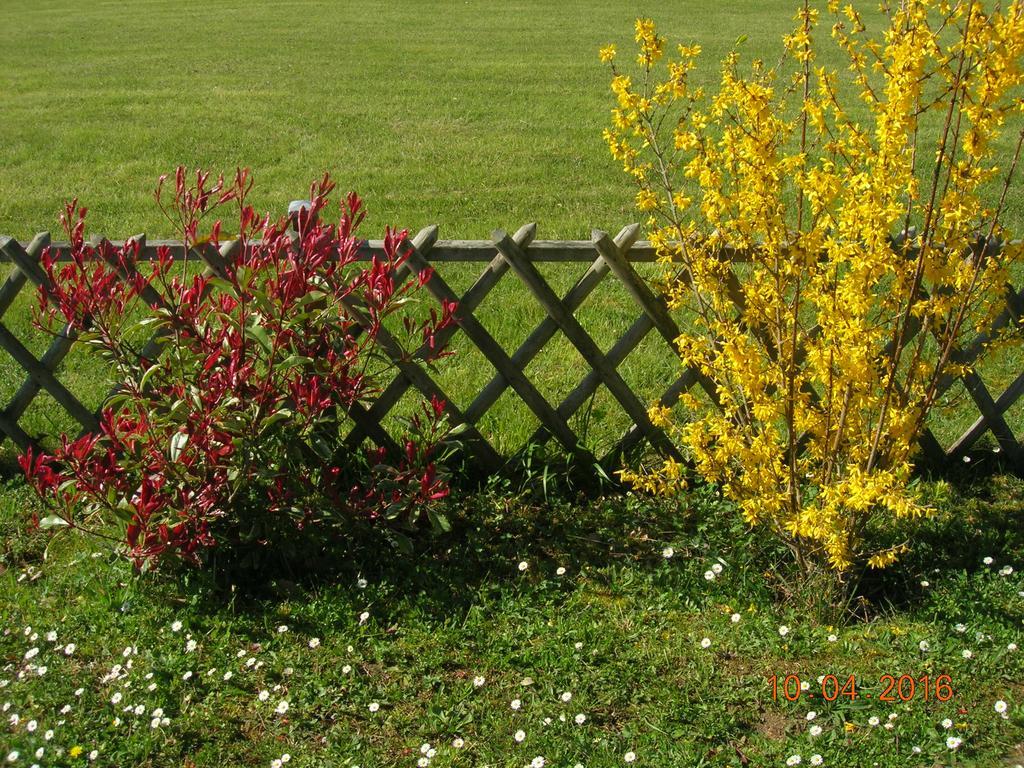 Le Colombier Bed and Breakfast Villeneuve-sur-Lot Exteriör bild
