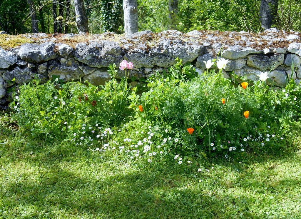 Le Colombier Bed and Breakfast Villeneuve-sur-Lot Exteriör bild