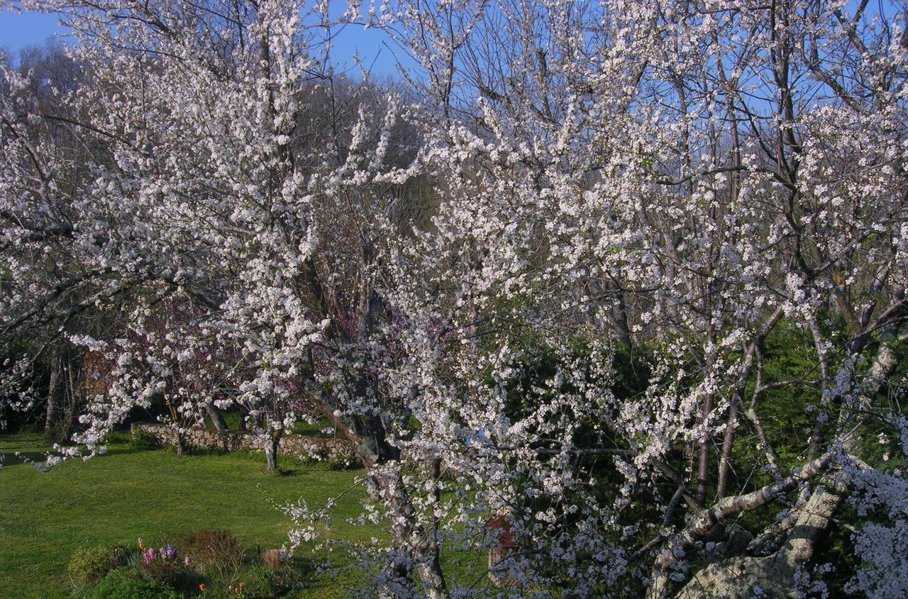 Le Colombier Bed and Breakfast Villeneuve-sur-Lot Exteriör bild